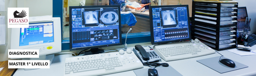 Ecografia: tecnica, anatomia ed applicazione clinica